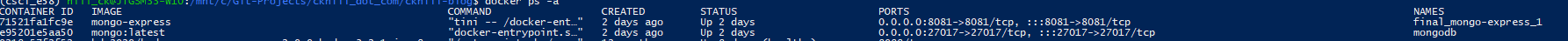 mongo-docker
